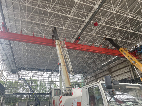 Multi point suspension crane